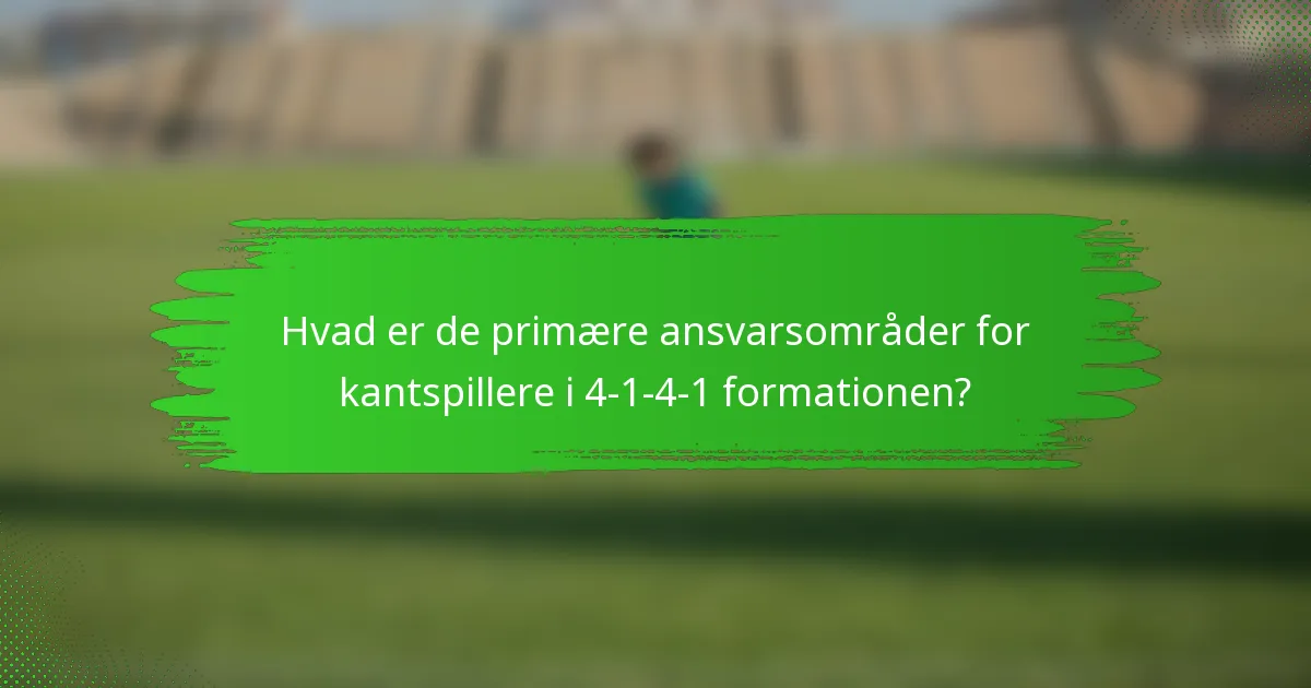 Hvad er de primære ansvarsområder for kantspillere i 4-1-4-1 formationen?