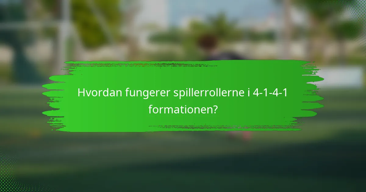 Hvordan fungerer spillerrollerne i 4-1-4-1 formationen?
